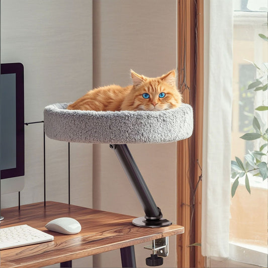 Desk Floating Cat Bed