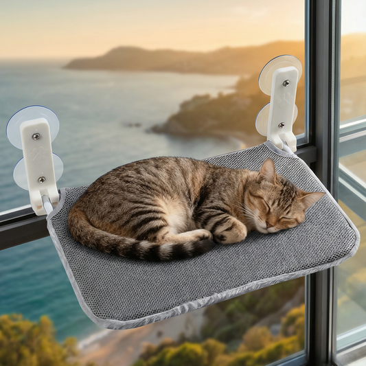 Pet Window hammock